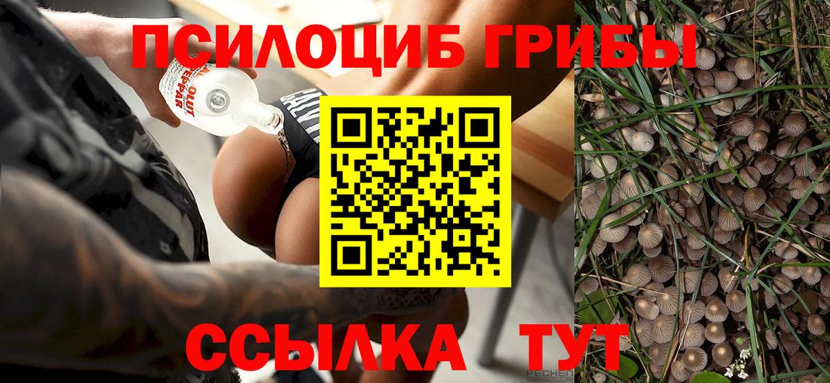 Псилоцибиновые грибы Magic Shrooms Ессентуки