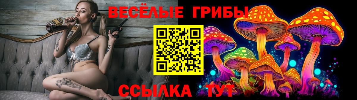 Ессентуки  Псилоцибиновые грибы прущие грибы  Вход с VPN 